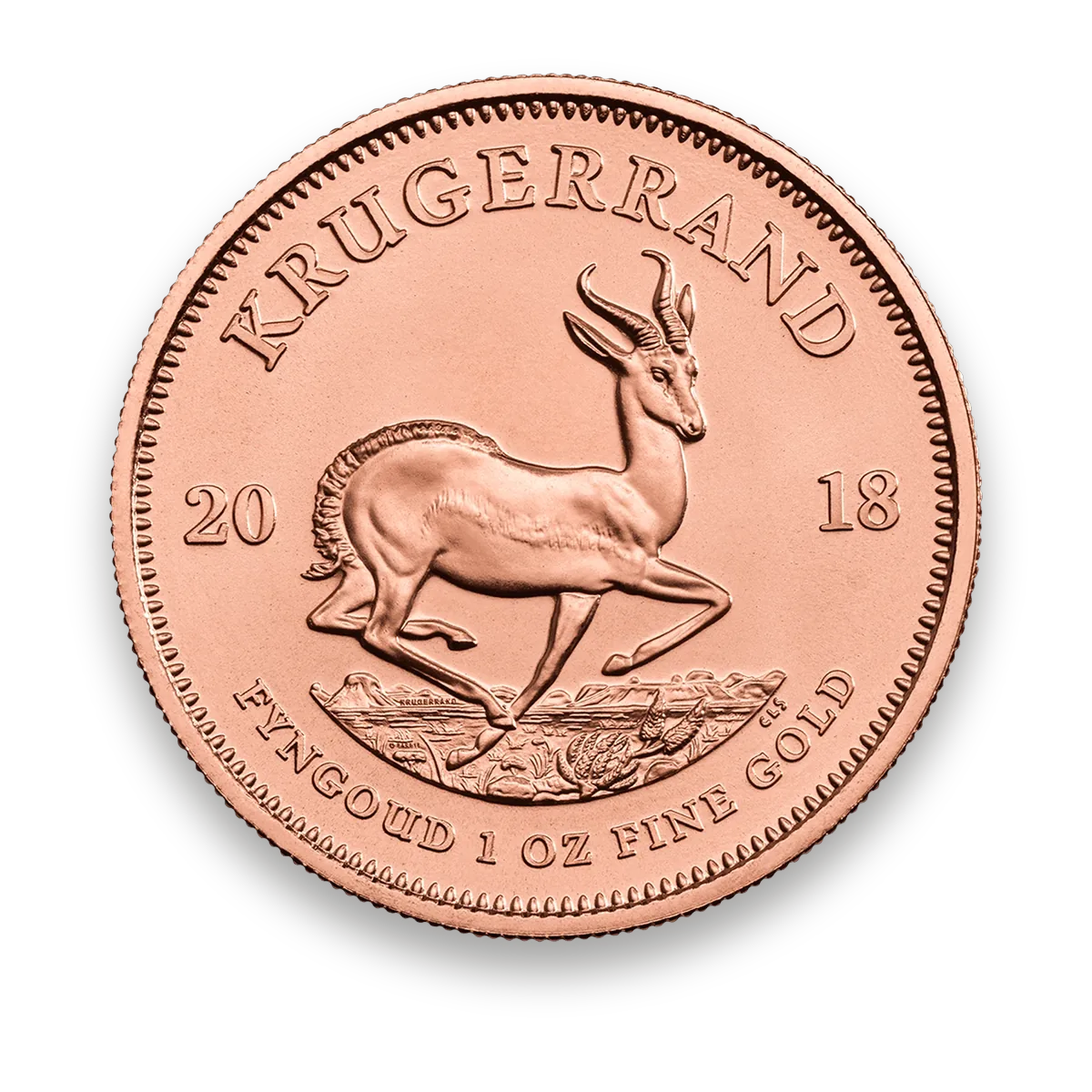 Gold Krugerrand 1 oz · Front